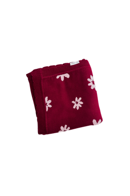 BLANKET | LOLA